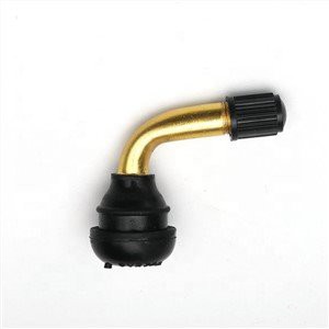 Injap Tayar Tanpa Tiub Motosikal